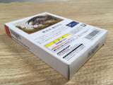 DK7321 Final Fantasy I BOXED Wonder Swan Bandai Japan