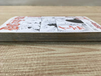 AAA1126 D.Gray-man Vol.13 Japanese Manga