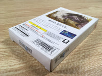 DK7321 Final Fantasy I BOXED Wonder Swan Bandai Japan
