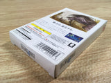 DK7321 Final Fantasy I BOXED Wonder Swan Bandai Japan