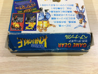 DK6833 Bare Knuckle Ikari no Tekken BOXED Sega Game Gear Japan