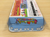 UE8228 Wario Land Advance Mario BOXED GameBoy Advance Japan