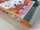 Tottoko Hamutaro Tomodachi Daisakusen de Chu BOXED GameBoy Game Boy - UE1901