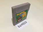 BZ4829 Flappy Special GameBoy Game Boy Japan