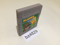 BZ4829 Flappy Special GameBoy Game Boy Japan