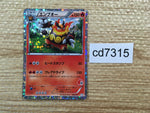 CD7315 Emboar - HS 008/037 Pokemon Card TCG Japan