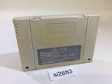 DaiBakushou Jinsei Gekijou Zukkoke SalaryMan SNES Super Famicom Japan - SI2883