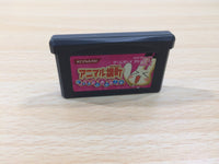 UE5647 Animal Yokochou Doki Doki Kyuushutsu BOXED GameBoy Advance Japan