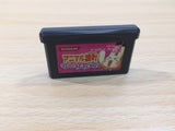 UE5647 Animal Yokochou Doki Doki Kyuushutsu BOXED GameBoy Advance Japan