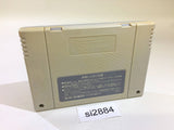 Dai Bakushou Jinsei Gekijou Ooedo Nikki SNES Super Famicom Japan - SI2884