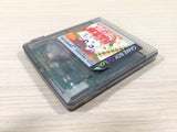 Tottoko Hamutaro Tomodachi Daisakusen de Chu BOXED GameBoy Game Boy - UE1901