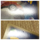 CE4067 Raichu PROMO PROMO 114/DP-P Pokemon Card TCG Japan