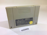 Dai Bakushou Jinsei Gekijou Ooedo Nikki SNES Super Famicom Japan - SI2885