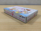 UE5648 Kawaii Pet Shop Monogatari 3 BOXED GameBoy Advance Japan