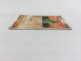CD8372 Larvitar - PROMO 033/PCG-P Pokemon Card TCG Japan