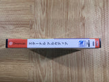 Eternal Arcadia barai editional Dreamcast Japan - FH7505