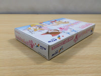 UE5648 Kawaii Pet Shop Monogatari 3 BOXED GameBoy Advance Japan