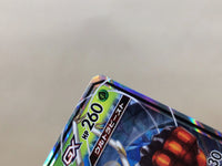 CE4669 Pheromosa & Buzzwole tag team GX RR SM9b 001/054 Pokemon Card TCG Japan