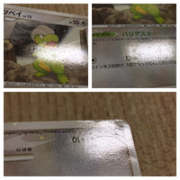 CE4069 Bagon C Holo Pt4 069/090 Pokemon Card TCG Japan