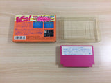 Super Star Pro Wrestling BOXED NES Famicom Japan - UD8999