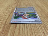 CE7670 Sonia PROMO PROMO 046/S-P Pokemon Card TCG Japan