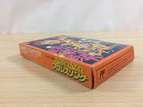 Super Star Pro Wrestling BOXED NES Famicom Japan - UD8999
