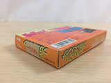 Super Star Pro Wrestling BOXED NES Famicom Japan - UD8999