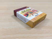 UE6566 The Legend Of Zelda 2 BOXED GameBoy Advance Japan