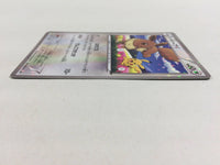 CD8755 Eevee - PROMO 235/BW-P Pokemon Card TCG Japan