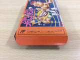 Super Star Pro Wrestling BOXED NES Famicom Japan - UD8999