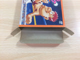 Super Star Pro Wrestling BOXED NES Famicom Japan - UD8999