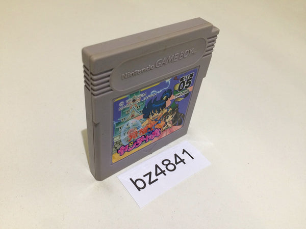 BZ4841 Ganso! Yanchamaru Kid Niki GameBoy Game Boy Japan