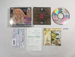 DK5366 Might and Magic CD ROM 2 PC Engine Japan