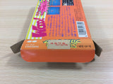 Super Star Pro Wrestling BOXED NES Famicom Japan - UD8999