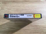 Rival Schools Nekketsu Seishun Nikki 2 PS1 Japan - FH9016