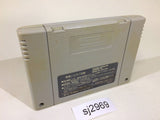Yu Yu Hakusho SNES Super Famicom Japan - SJ2969