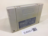 Yu Yu Hakusho SNES Super Famicom Japan - SJ6957