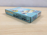 UE6042 U.S. Championship V' Ball Valley BOXED NES Famicom Japan