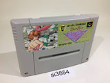 Super Pachi Slot Mahjong SNES Super Famicom Japan - SI3854