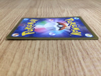 CE6673 Entei V SAR s12a 213/172 Pokemon Card TCG Japan