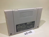 Populous SNES Super Famicom Japan - SI5145