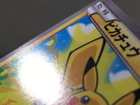 CE3374 Pikachu - XY 029/171 Pokemon Card TCG Japan