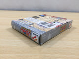 Hunter x Hunter Hunter no Keifu BOXED GameBoy Game Boy Japan - UE5779