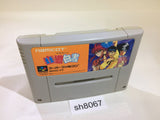 Yu Yu Hakusho SNES Super Famicom Japan - SH8067