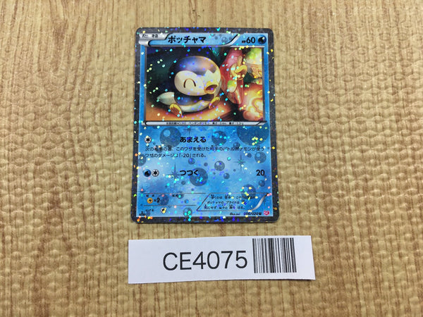 CE4075 Piplup U SC 006/020 Pokemon Card TCG Japan