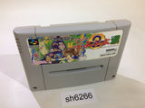 Super Puyo Puyo 2 Tsu SNES Super Famicom Japan - SH6266