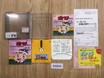 fh6844 Nazoler Land BOXED Famicom Disk Japan