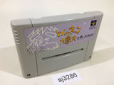 Torneco no Daibouken Fushigi no Dungeon SNES Super Famicom Japan - SJ3286