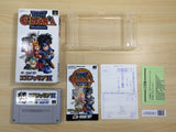 Elfaria II 2 The Quest of the Meld BOXED SNES Super Famicom Japan - UE8361