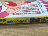 AAA1050 Tsuribaka Nisshi Vol.32 Japanese Manga